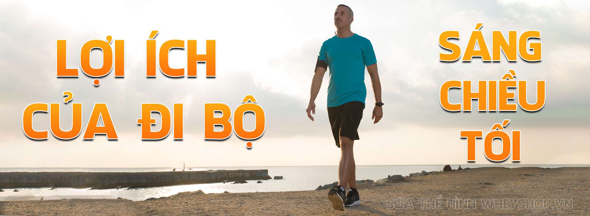 Cách phòng bệnh rối loạn mỡ máu