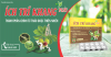 Bệnh trĩ là gì? Nguyên nhân, dấu hiệu đặc trưng